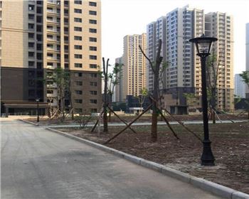 太陽(yáng)能路燈-西安茅坡新城