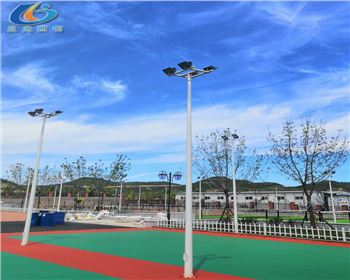 寧夏延安學(xué)校路燈照明項目