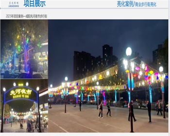 陜西咸陽先河夜市步行街